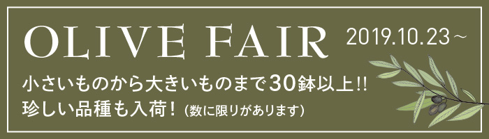 olive_far_bnr-pc